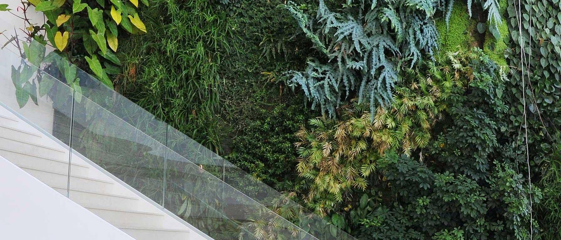 stairs with plants in background