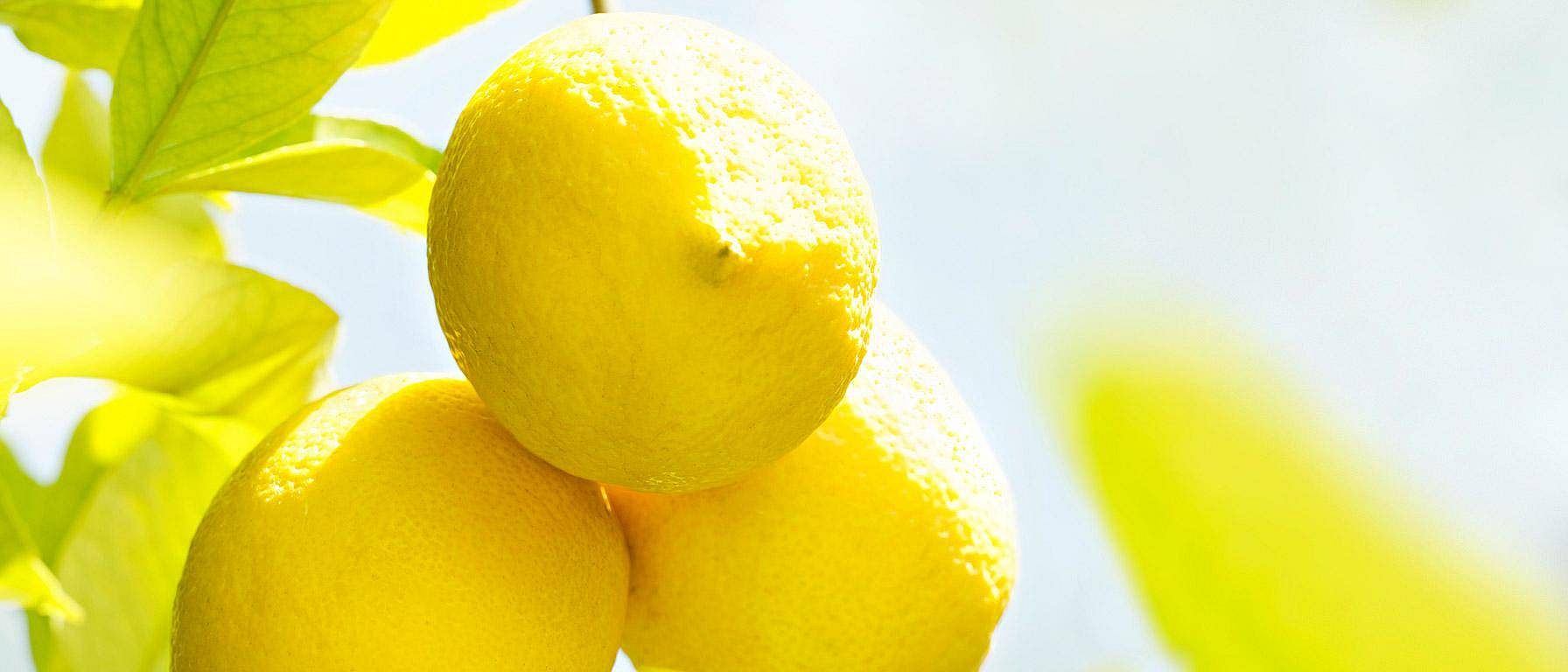 lemons in lemon three