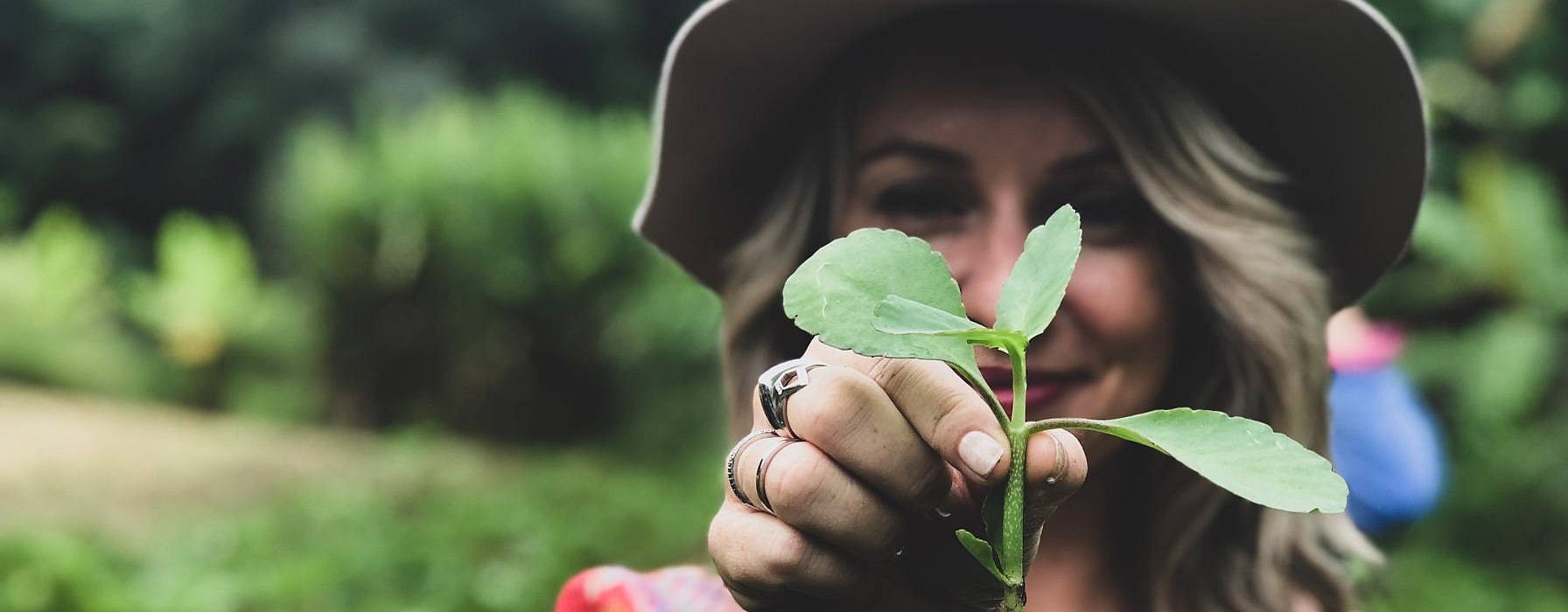 Women picking plant