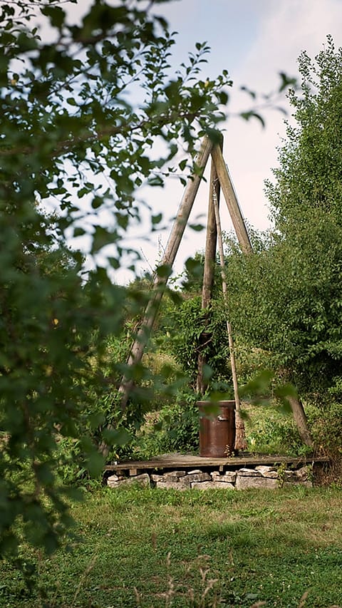 biodynamic garden