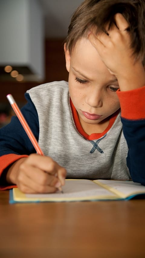 Boy doing homework