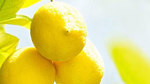 lemons in lemon three