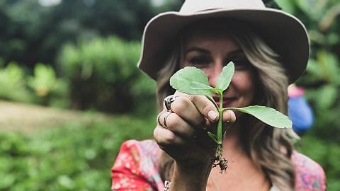 Women picking plant