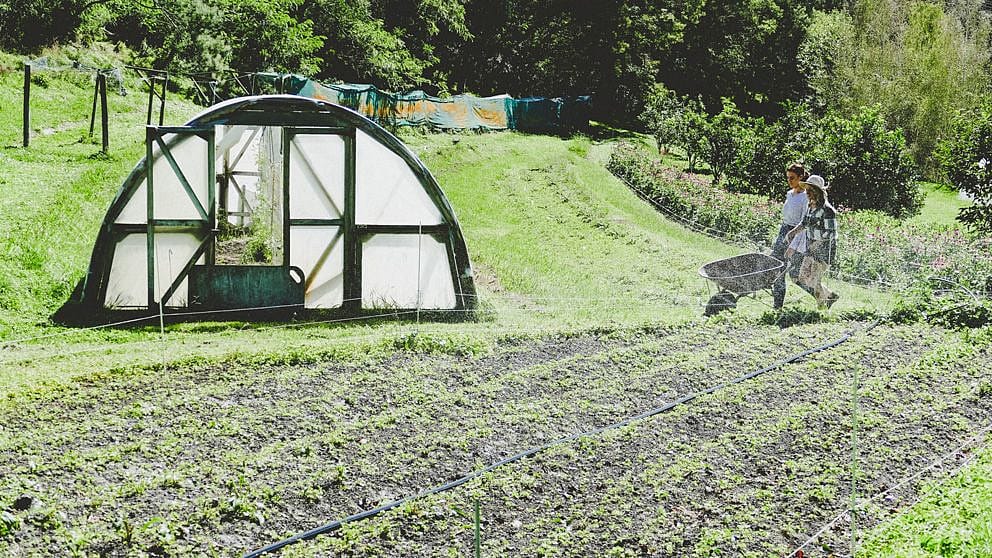 biodynamic gardens